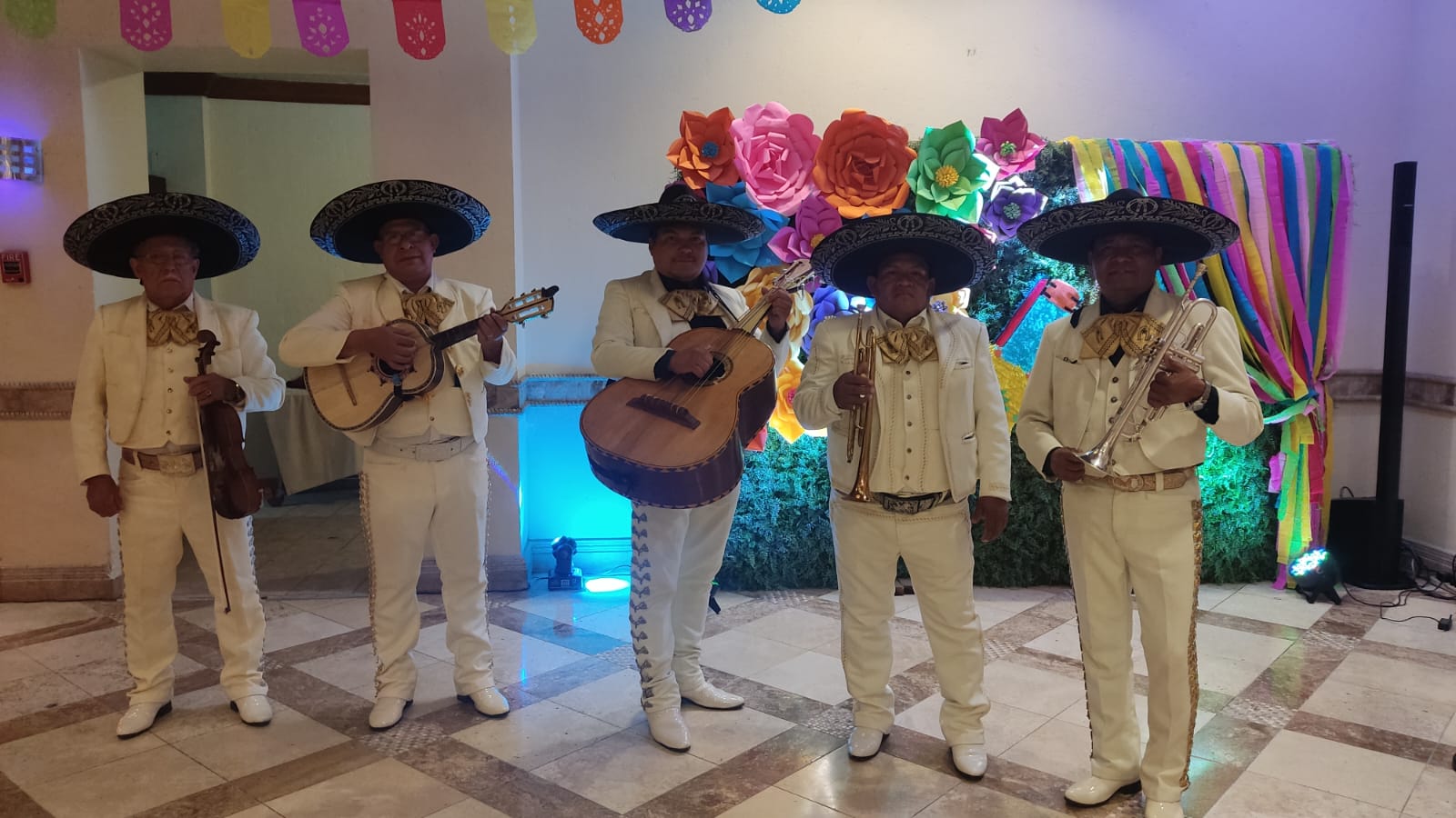 Presentación musical profesional